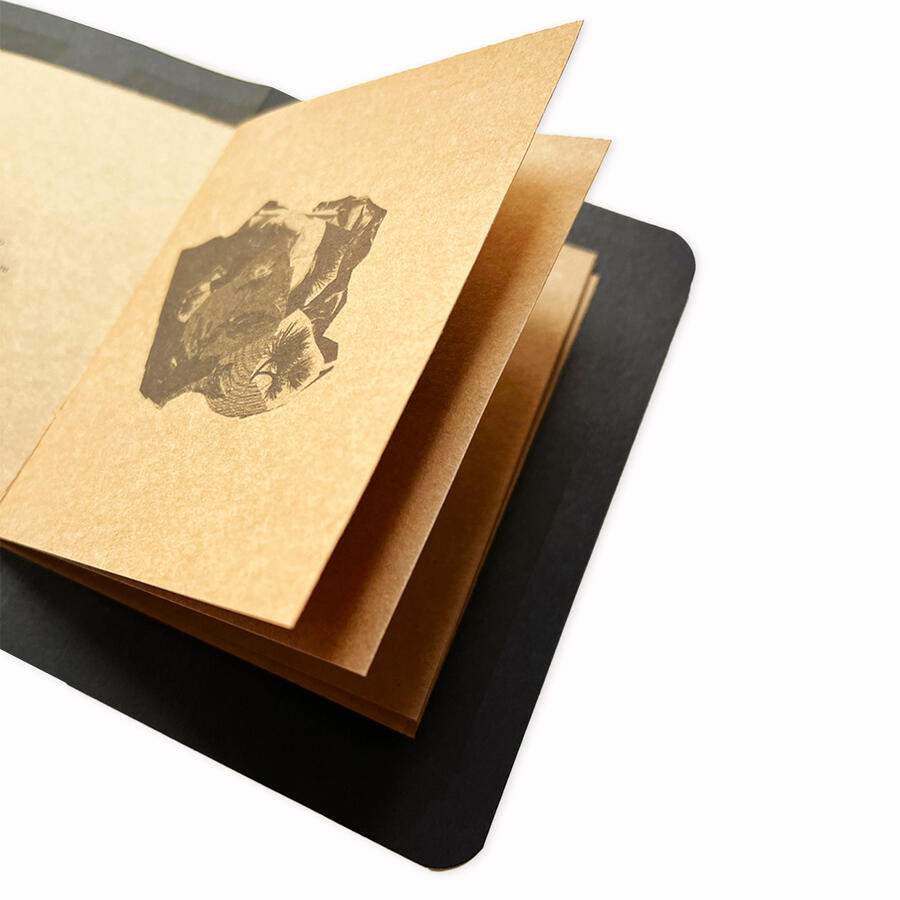 TO EXTEND THE BLOOM, 2023 (Collage, design, project management, construction)